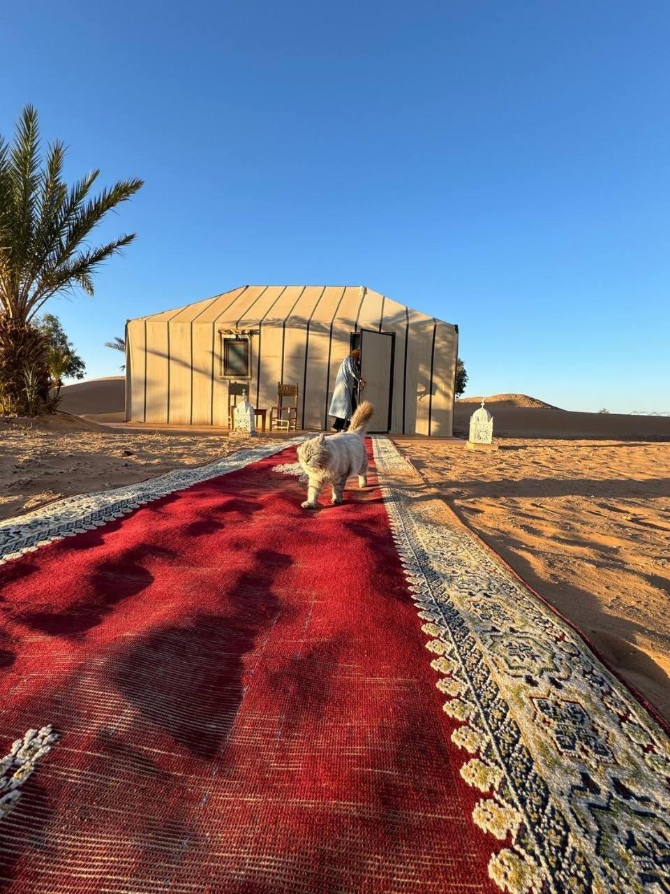 Erg Chebbi Sahara Camp Merzouga Exterior foto